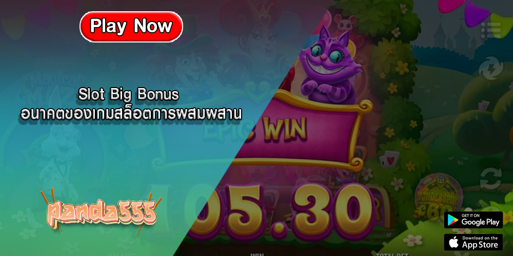 Slot Big Bonus อนาคตของเกมสล็อตการผสมผสาน