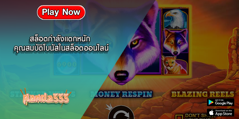 สล็อตกำลังแตกหนัก คุณสมบัติโบนัสในสล็อตออนไลน์